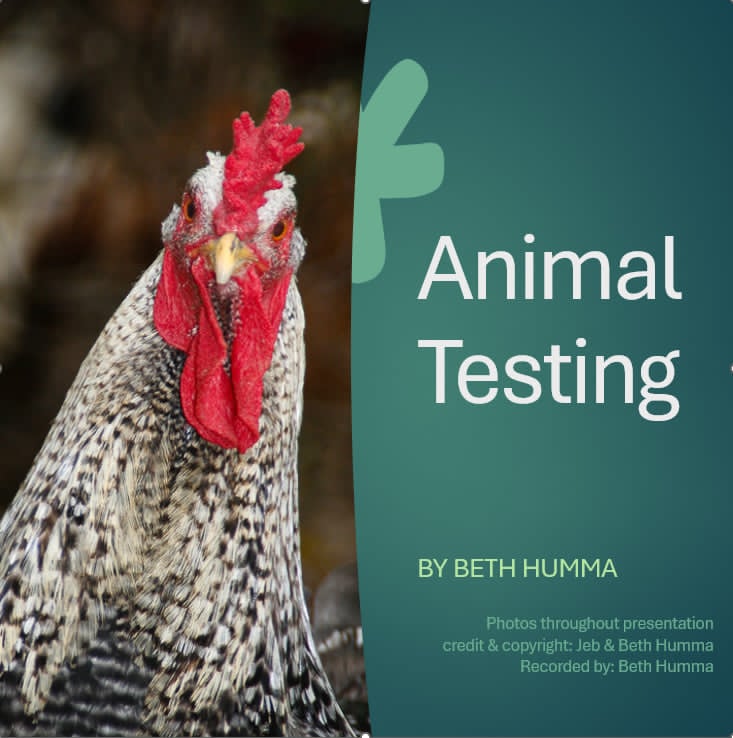 Animal Testing with Beth Humma (Live Webinar plus additional recordings)